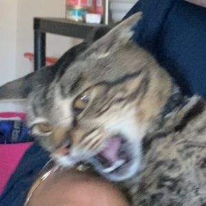 Meet your Posher, Natalia